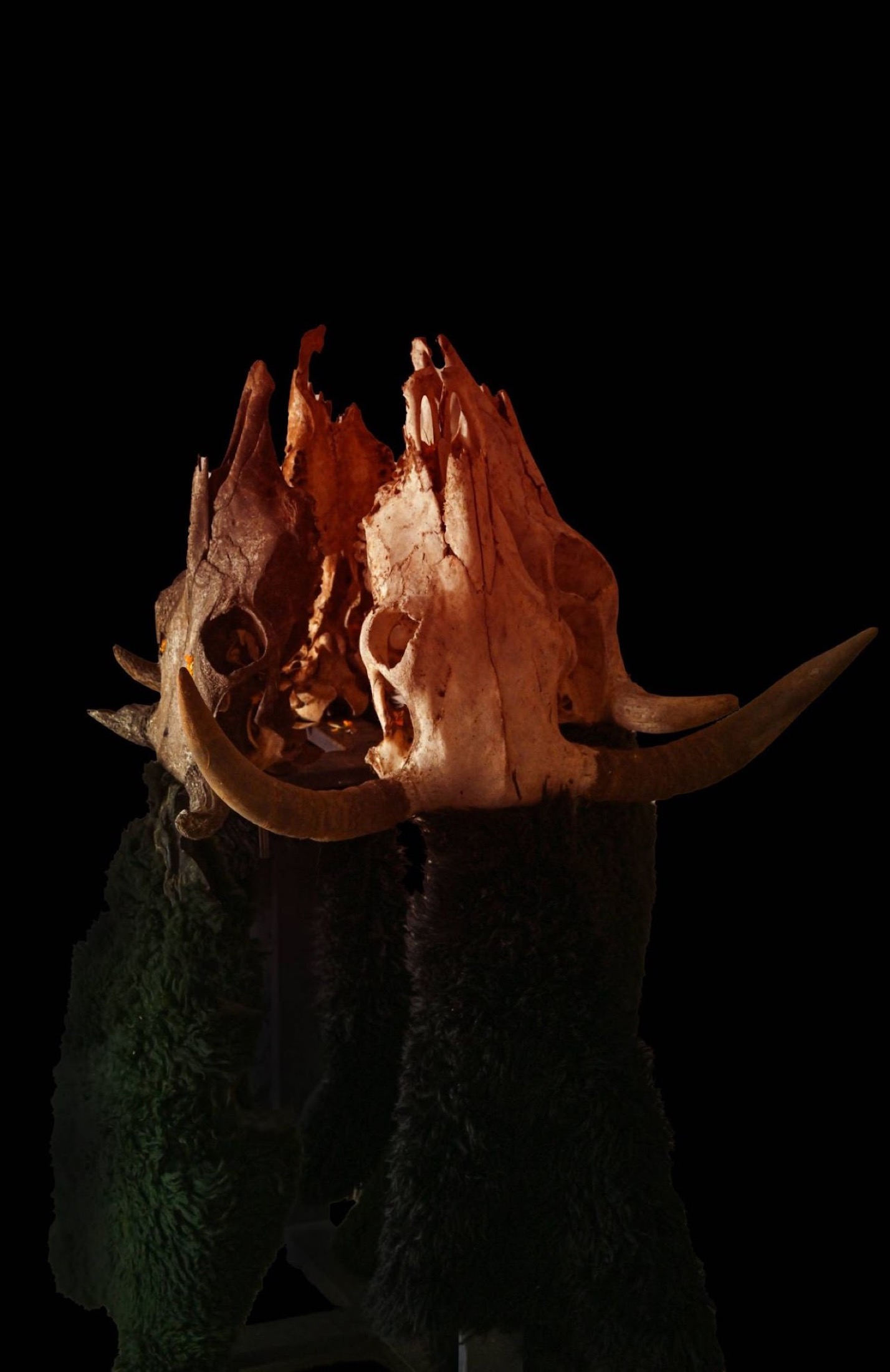 Bone and fur sculptural object in darkness