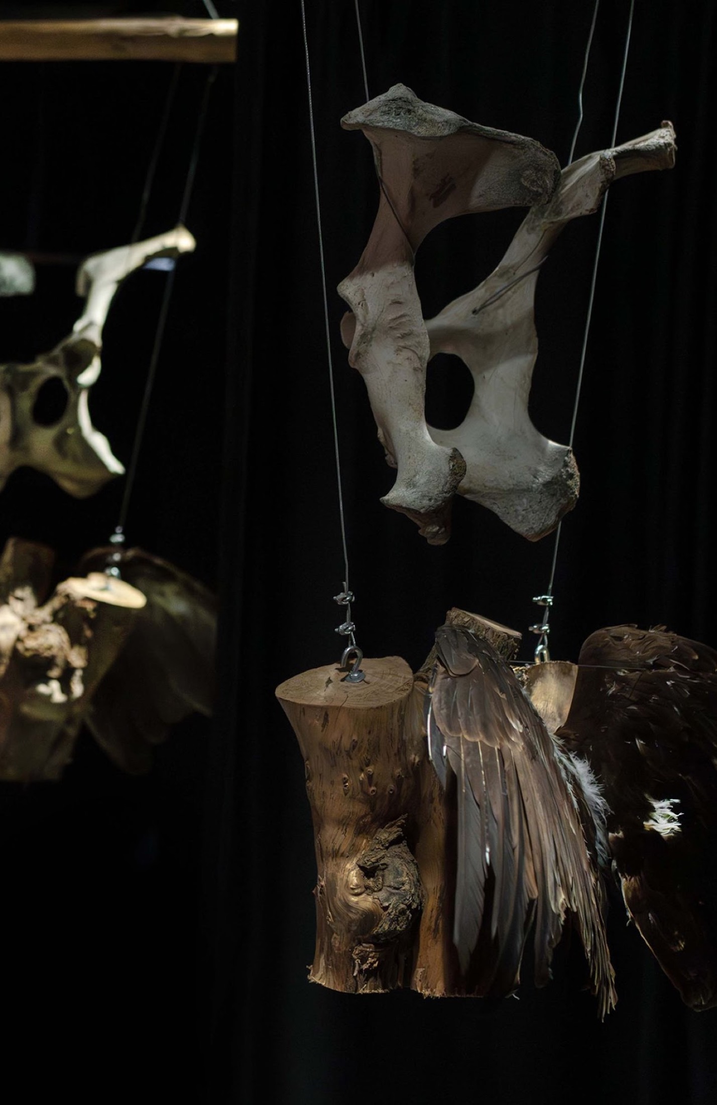 Hanging bone and feather sculptural detail