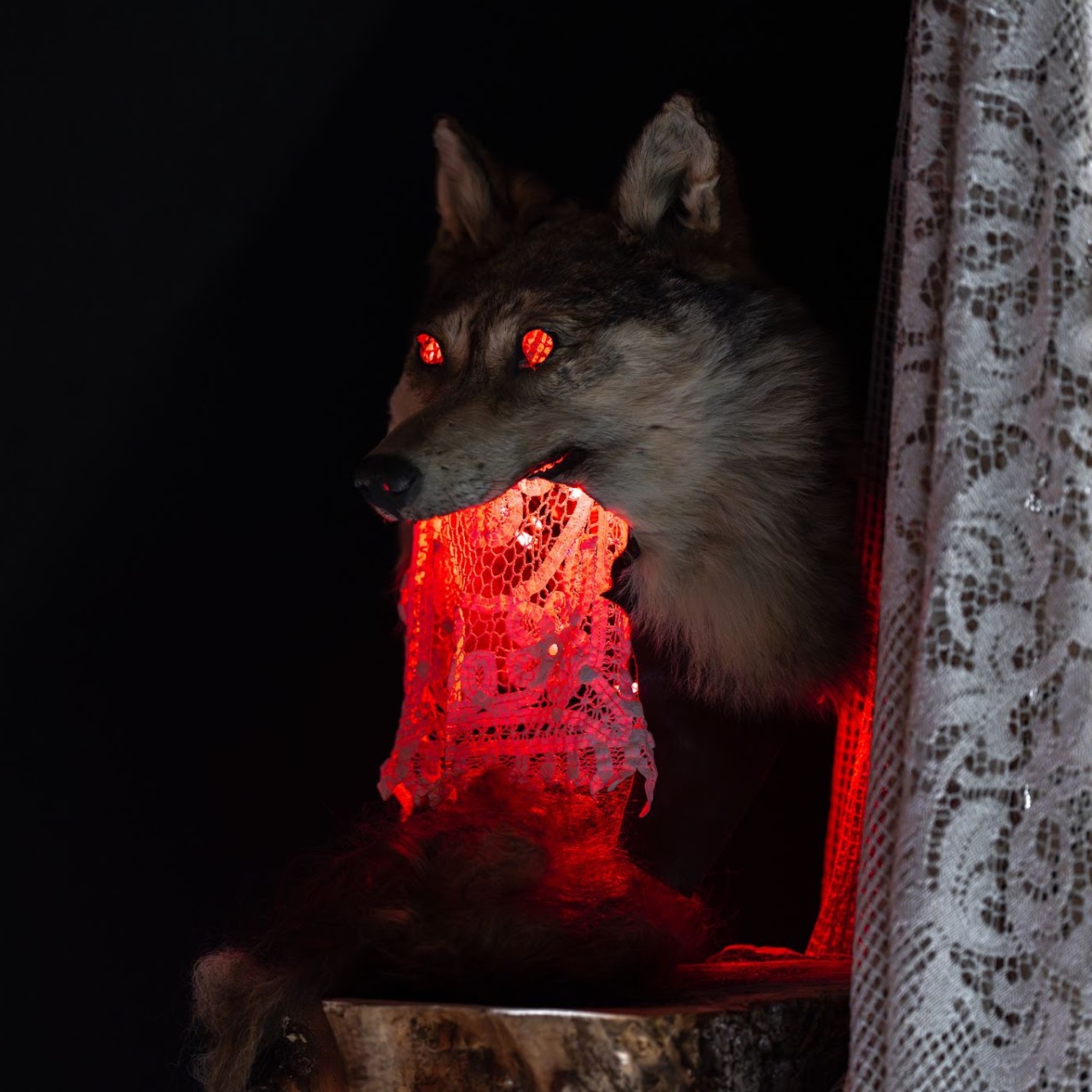 Wolf form with glowing red lace in darkness